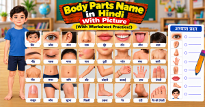 # Body Parts Name in Hindi With Picture (With Worksheet Practice!)